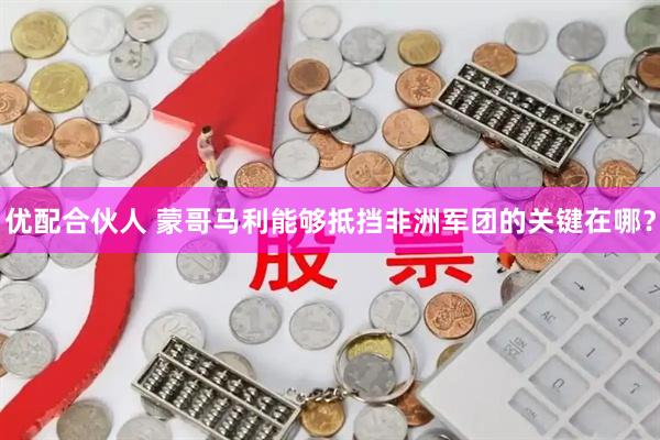 优配合伙人 蒙哥马利能够抵挡非洲军团的关键在哪？
